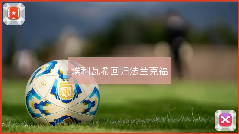埃利瓦希回归法兰克福