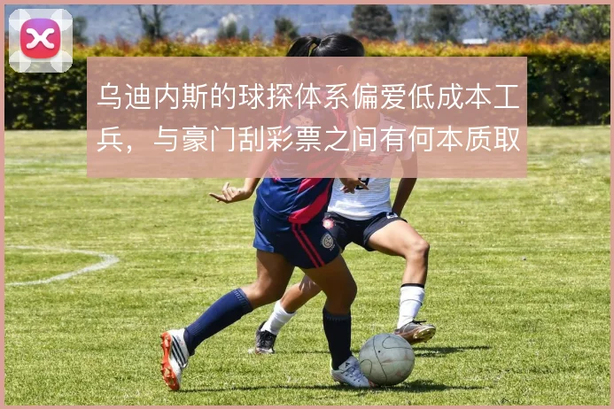 乌迪内斯的球探体系偏爱低成本工兵,与豪门刮彩票之间有何本质取舍