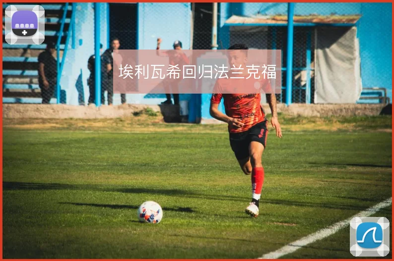 埃利瓦希回归法兰克福